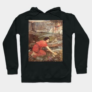 Maidens Picking Flowers by a Stream by John William Waterhouse Hoodie